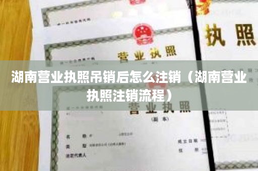 湖南营业执照吊销后怎么注销（湖南营业执照注销流程）