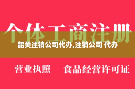 韶关注销公司代办,注销公司 代办