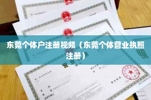 东莞个体户注册视频（东莞个体营业执照注册）