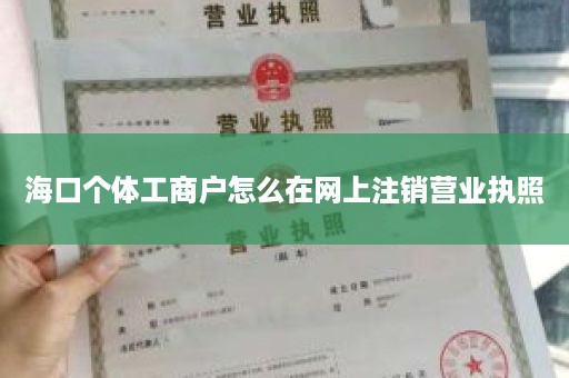 海口个体工商户怎么在网上注销营业执照