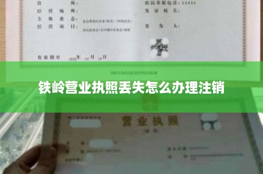 铁岭营业执照丢失怎么办理注销