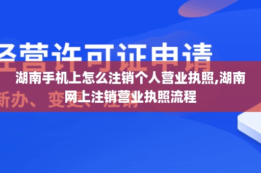 湖南手机上怎么注销个人营业执照,湖南网上注销营业执照流程