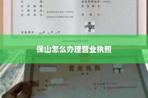 保山怎么办理营业执照