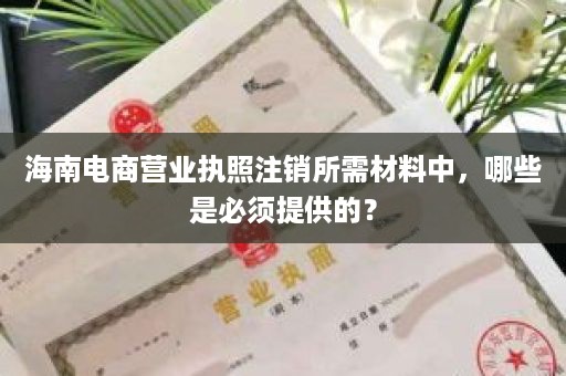 海南电商营业执照注销所需材料中，哪些是必须提供的？