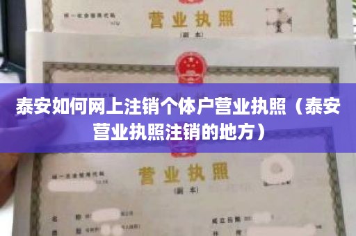 泰安如何网上注销个体户营业执照（泰安营业执照注销的地方）