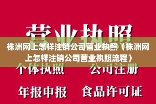 株洲网上怎样注销公司营业执照（株洲网上怎样注销公司营业执照流程）