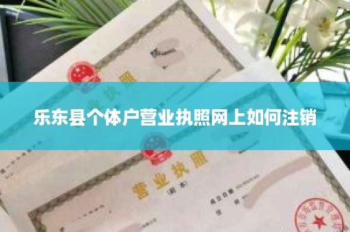 乐东县个体户营业执照网上如何注销