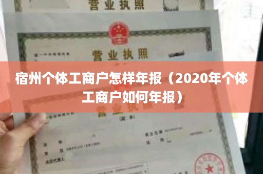 宿州个体工商户怎样年报（2020年个体工商户如何年报）