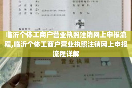 临沂个体工商户营业执照注销网上申报流程,临沂个体工商户营业执照注销网上申报流程详解