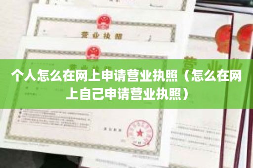 个人怎么在网上申请营业执照（怎么在网上自己申请营业执照）