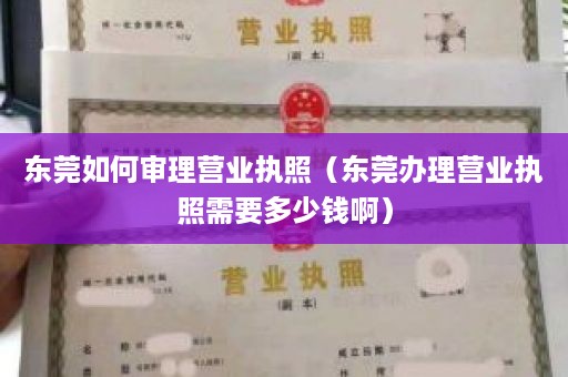 东莞如何审理营业执照（东莞办理营业执照需要多少钱啊）