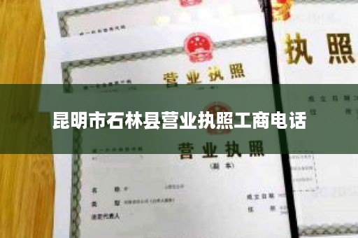 昆明市石林县营业执照工商电话