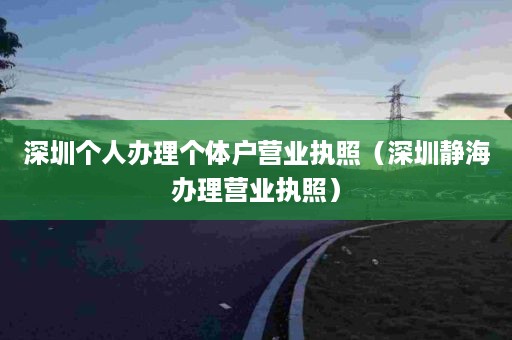 深圳个人办理个体户营业执照（深圳静海办理营业执照）