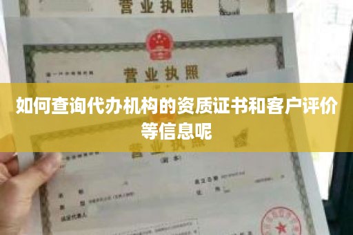 如何查询代办机构的资质证书和客户评价等信息呢