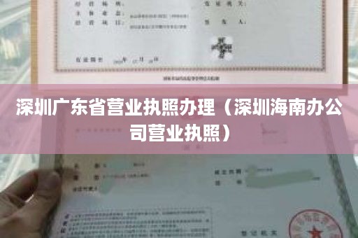 深圳广东省营业执照办理（深圳海南办公司营业执照）