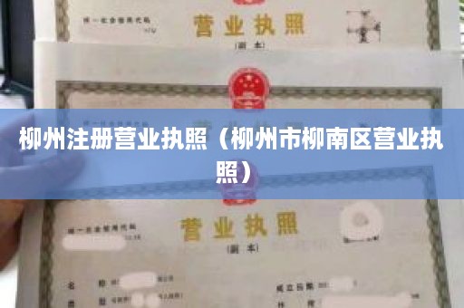 柳州注册营业执照（柳州市柳南区营业执照）