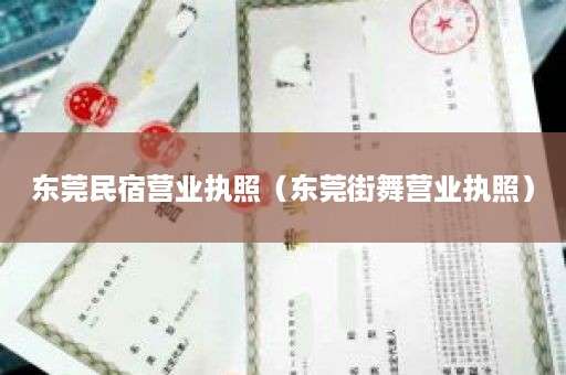 东莞民宿营业执照（东莞街舞营业执照）