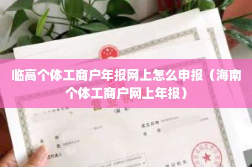 临高个体工商户年报网上怎么申报（海南个体工商户网上年报）