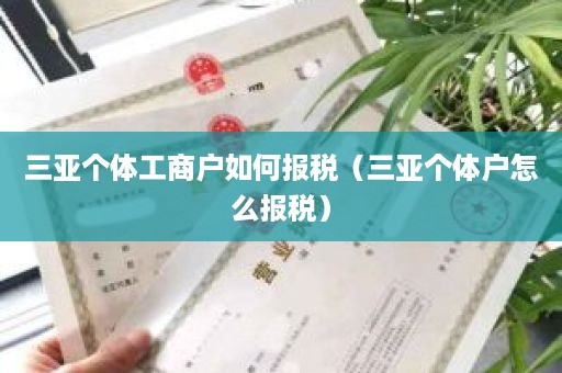 三亚个体工商户如何报税（三亚个体户怎么报税）