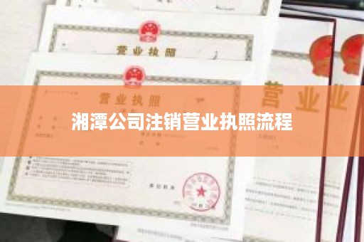 湘潭公司注销营业执照流程