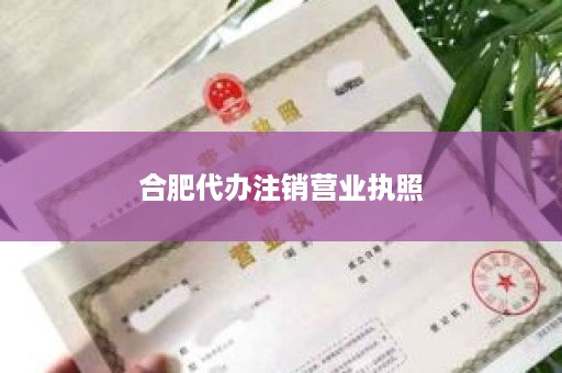 合肥代办注销营业执照