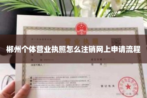 郴州个体营业执照怎么注销网上申请流程