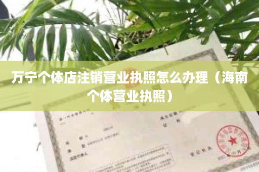 万宁个体店注销营业执照怎么办理（海南个体营业执照）