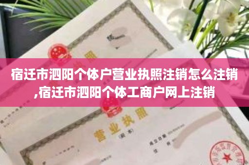 宿迁市泗阳个体户营业执照注销怎么注销,宿迁市泗阳个体工商户网上注销