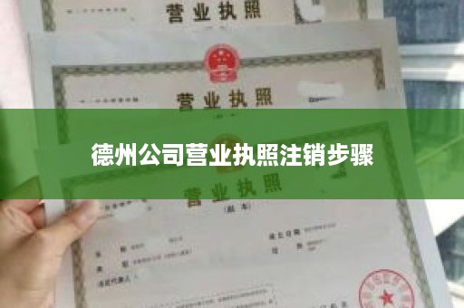 德州公司营业执照注销步骤