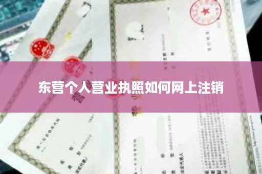 东营个人营业执照如何网上注销