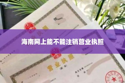 海南网上能不能注销营业执照