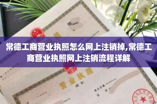 常德工商营业执照怎么网上注销掉,常德工商营业执照网上注销流程详解