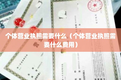 个体营业执照需要什么（个体营业执照需要什么费用）