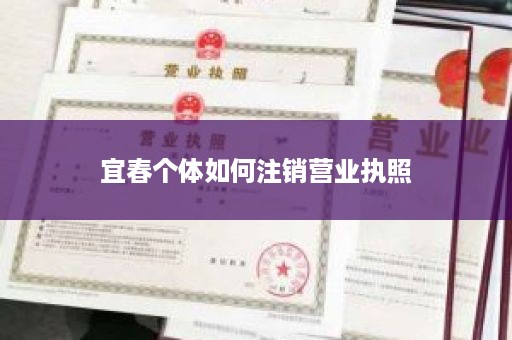 宜春个体如何注销营业执照