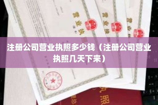 注册公司营业执照多少钱（注册公司营业执照几天下来）