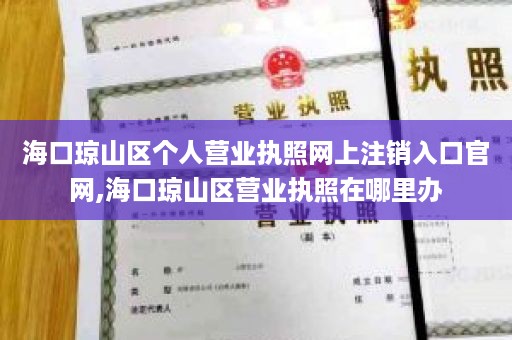 海口琼山区个人营业执照网上注销入口官网,海口琼山区营业执照在哪里办