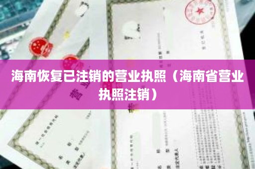 海南恢复已注销的营业执照（海南省营业执照注销）