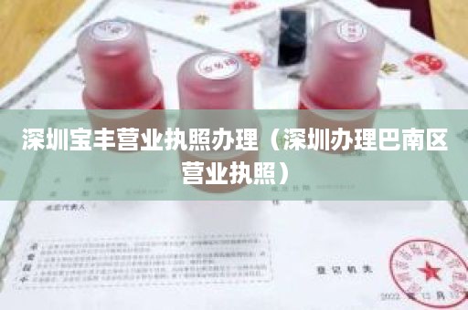 深圳宝丰营业执照办理（深圳办理巴南区营业执照）