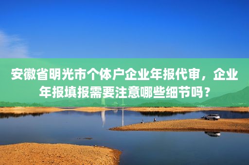 安徽省明光市个体户企业年报代审，企业年报填报需要注意哪些细节吗？