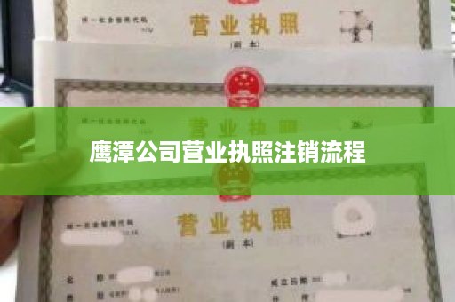 鹰潭公司营业执照注销流程