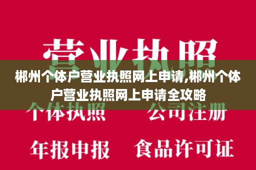 郴州个体户营业执照网上申请,郴州个体户营业执照网上申请全攻略