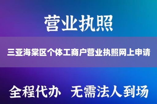 三亚海棠区个体工商户营业执照网上申请