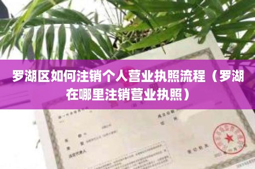 罗湖区如何注销个人营业执照流程（罗湖在哪里注销营业执照）