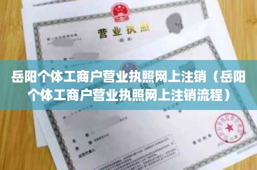 岳阳个体工商户营业执照网上注销（岳阳个体工商户营业执照网上注销流程）