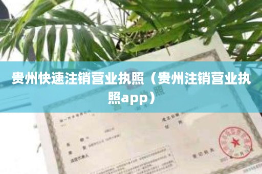 贵州快速注销营业执照（贵州注销营业执照app）