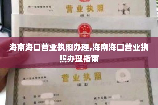 海南海口营业执照办理,海南海口营业执照办理指南