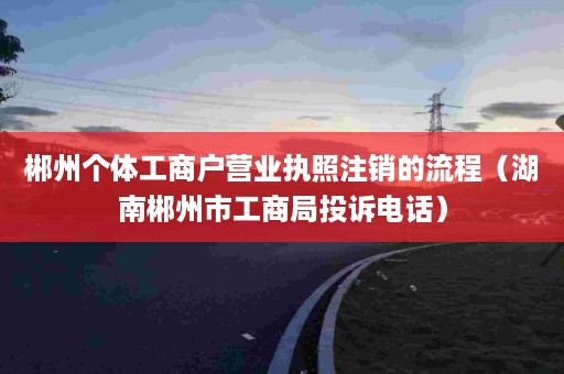 郴州个体工商户营业执照注销的流程（湖南郴州市工商局投诉电话）