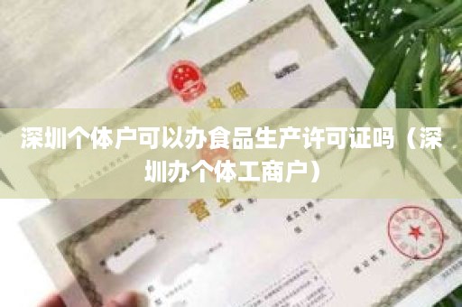 深圳个体户可以办食品生产许可证吗（深圳办个体工商户）