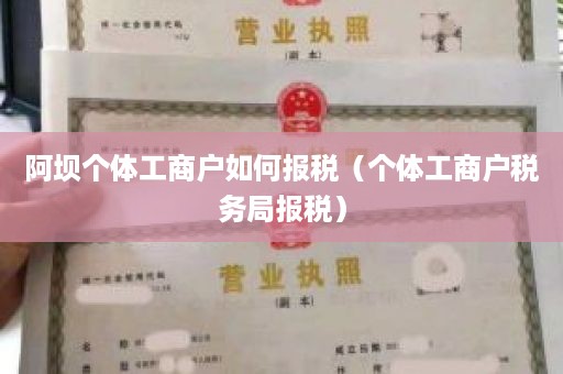 阿坝个体工商户如何报税（个体工商户税务局报税）