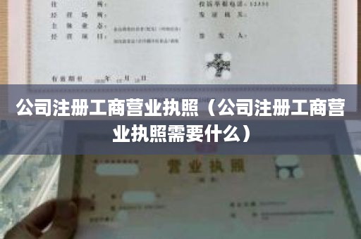 公司注册工商营业执照（公司注册工商营业执照需要什么）